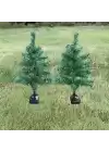 Solar Dekoratif Çam Ağacı