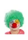 Yeşil Renk Kıvırcık Afro Palyaço Seti