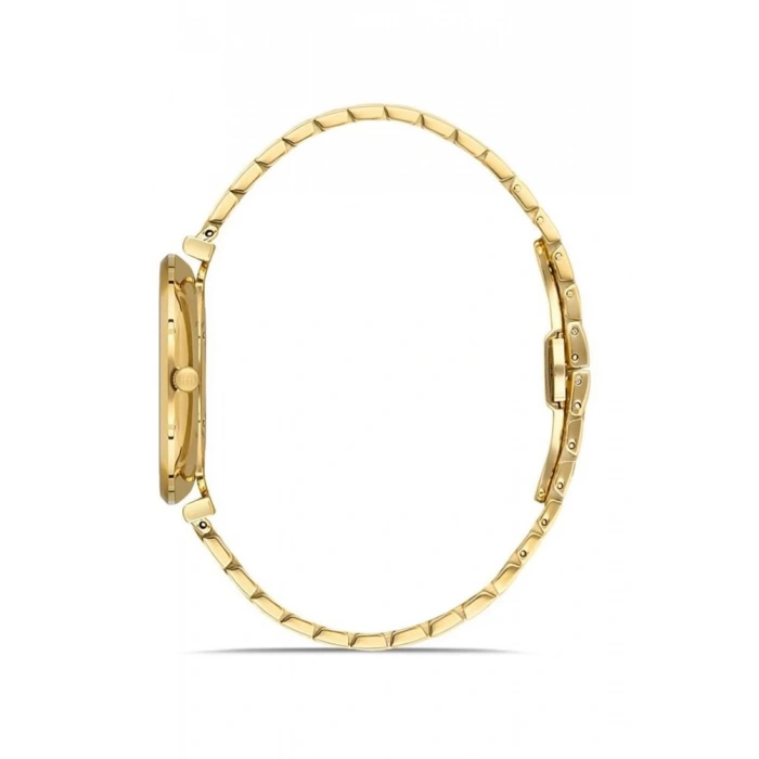 Hislon Erkek Kol Saati - Cl119g-04sg