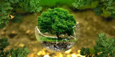 Советы по здоровому образу жизни