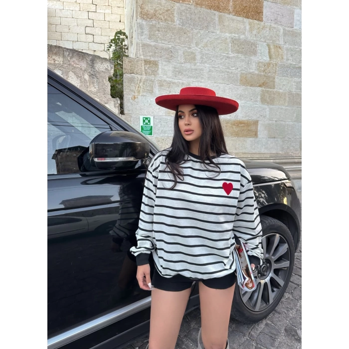 Nakışlı Çizgi Sweat