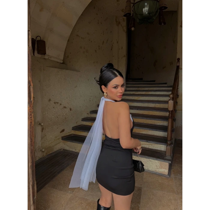 Yaka Tül Gloplu Elbise