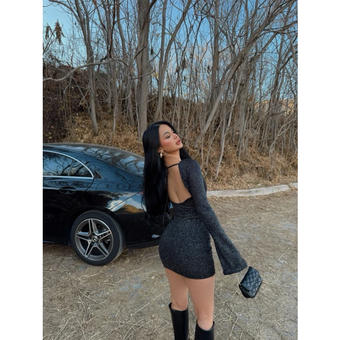 Sırt Dekolte Simli Elbise