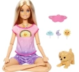 Barbie Meditasyon Yapıyor Oyun Seti HHX64