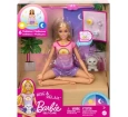 Barbie Meditasyon Yapıyor Oyun Seti HHX64