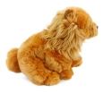 Chow Chow (Çin Aslanı) 28 cm