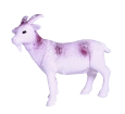 Çiftlik Hayvanları - Beyaz Keçi