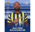 Fenerbahçe 2022-23 Sezon Kartları