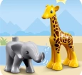 Lego Duplo Vahşi Afrika Hayvanları 10971