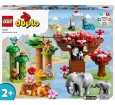 Lego Duplo Vahşi Asya Hayvanları 10974