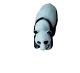 Vahşi Hayvanlar - Panda