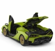 1:18 Lamborghini Sian FKP 37 Uzaktan Kumandalı Model Araç Montaj Kiti