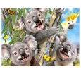 48 Parça 3D Puzzle ve Pelüş: Koala