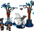 76432 LEGO® Harry Potter Yasak Orman: Sihirli Yaratıklar