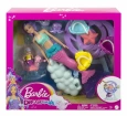 Barbie Dreamtopia Bebekleri ve Aksesuarları HLC30