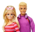 Barbie & Ken Fashionistas 65. Yıl 2li Parti Bebekleri HXK90