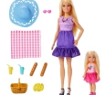 Barbie Malibu ve Chelsea Piknik Oyun Seti JBF43