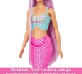 Barbie Uzun Saçlı Muhteşem Deniz Kızı HRR00