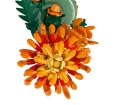 LEGO® Botanicals Krizantem 10368