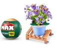 MAX Saksı Bitkileri Sürprizi MNB08000
