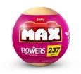 MAX Uzun Çiçekler Sürprizi MNB05000