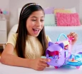 Polly Pocket Minik Kedi Hava Yolları Oyun Seti HWP19