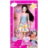 My First Barbie İlk Barbie Bebeğim Serisi Bebekleri Fox HLL18