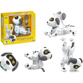 Etkileşimli Dans Eden Robot Köpek K16