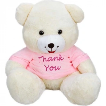 T-Shirtlü Oturan Peluş Ayı 60 cm - Pembe