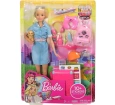Barbie Seyahatte Bebeği ve Aksesuarları - FWV25