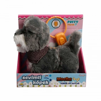 Sevimli Köpek Mocha
