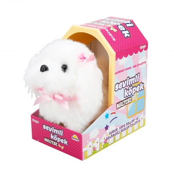 Sevimli Köpek Maltese