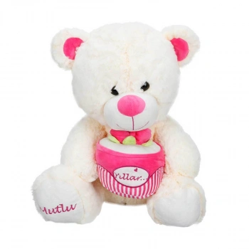 Doğum Günü Pastalı Peluş Ayı 48 cm. - Pembe