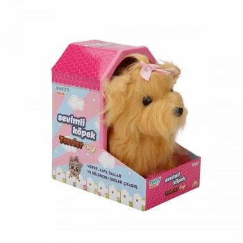 Sevimli Köpek Terrier