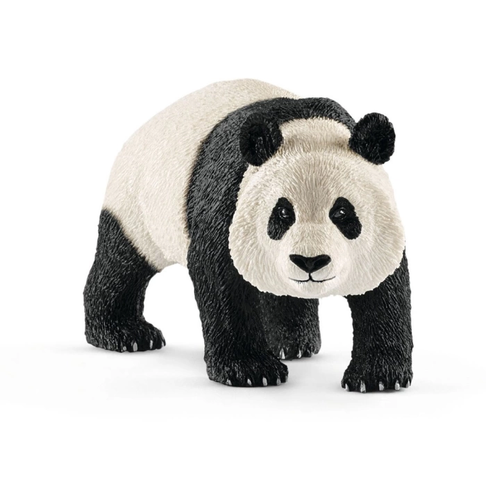 Schleich Erkek Panda - 14772