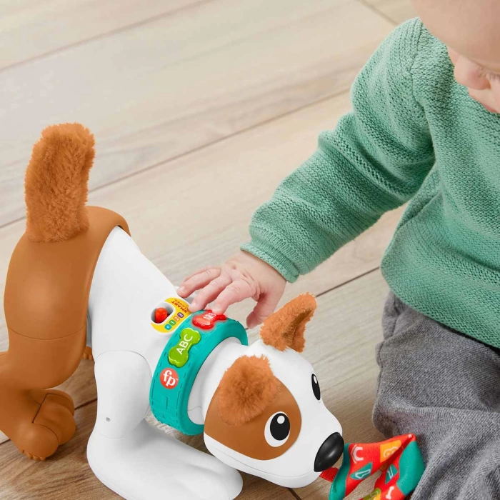 Fisher Price Emeklemeyi ve Saymayı Öğreten Köpekçik HHH13