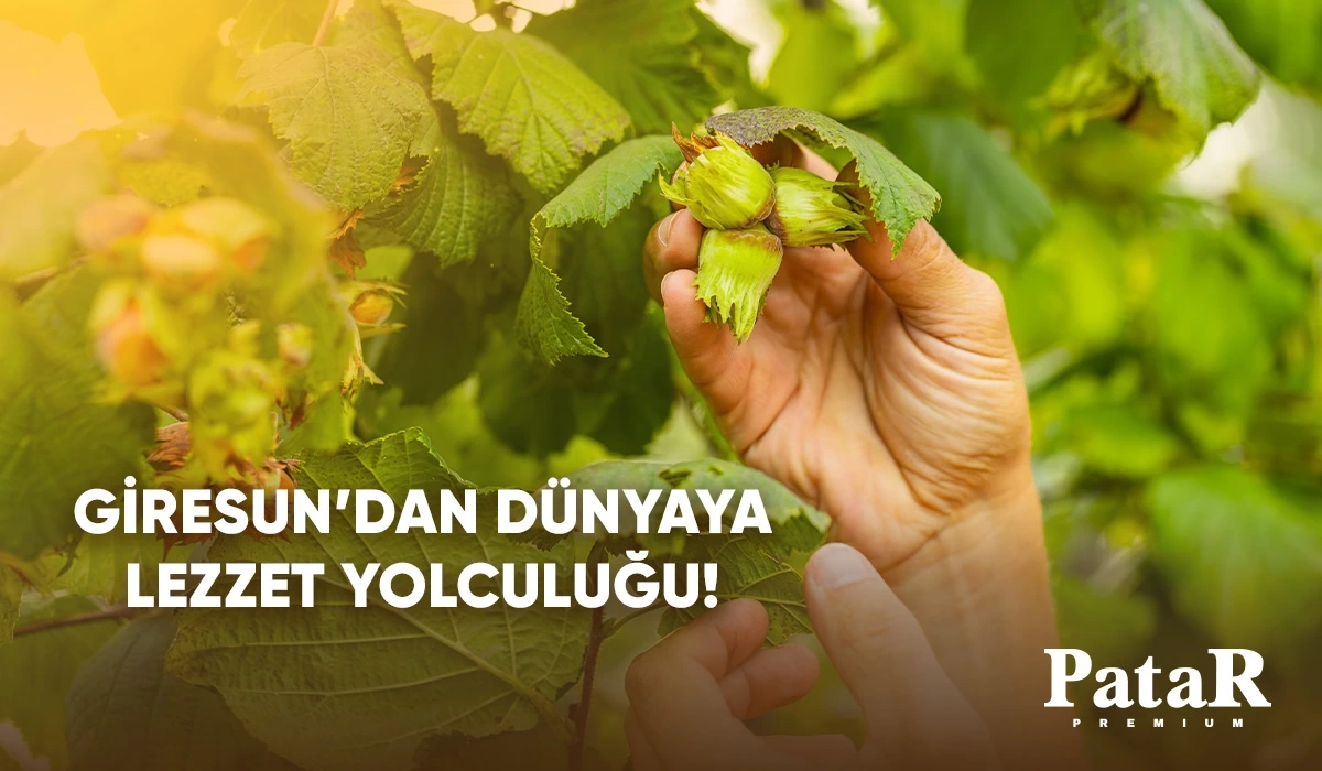 Giresundan Dünyaya Lezzet Yolculuğu