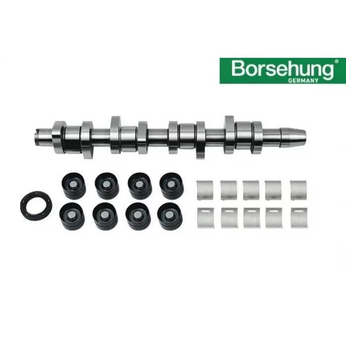 038109100A Eksantrik Mili Tamir Kiti - Transporter T5-Caddy-Passat-A4-Superb-1.9 Lt.-Tdı-Axb-Axc-Bjb-Avf