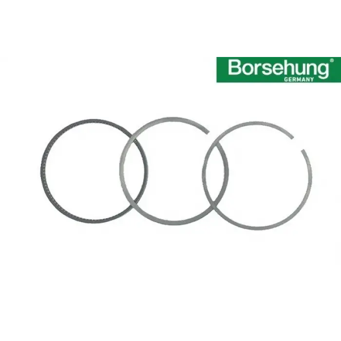 06B198151A Motor Segman Std 81.00 Mm 1 Piston İçin - Golf- Passat-Jetta-Bora-1.6 Lt.-Bfq-Alz-Bse-Bgu