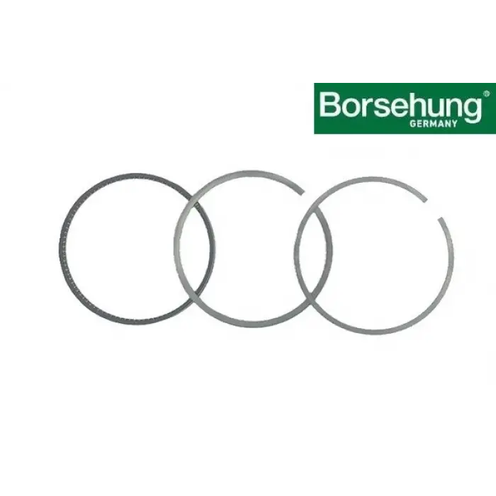 078198151C Motor Segman Std 81.00 Mm 1 Piston İçin - Audı A4-A6-95-1-1W-Afm-Aga-Ajg-Alf-Alw-Aml-Amm-Aps-Apz-Arj-Arona-Asm-Bdv