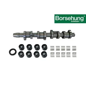 038109100AH Eksantrik Mili Tamir Kiti - Octavıa-Superb-Caddy-Passat-A3-1.9 Lt.-2.0-Tdı-Bls-Bmm-Bmp