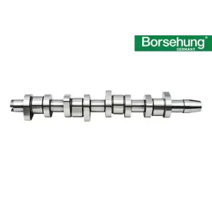 038109101R Eksantrik Mili Çelik - 1.9--2.0-Tdı-Avf-Bjb-Axb-Bkc-Bxe