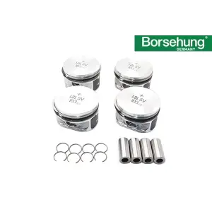 058107065M Piston Segman Std 81.00 Mm 4 Adet - Passat-A4-Octavıa-A3-1.8 Lt.-Adr-Apt-Agn