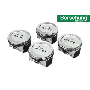 06A107065N Piston Segman Std 81.00 Mm 4 Adet - Golf-Passat-Jetta-A3-Leon-1.6 Lt.-Bfq-Alz-Avu-Bse-Bsf