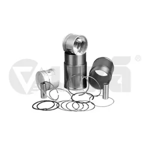 115000311 Piston Segman Gömlek 4 Adet Set - Favorıt-Felıcıa