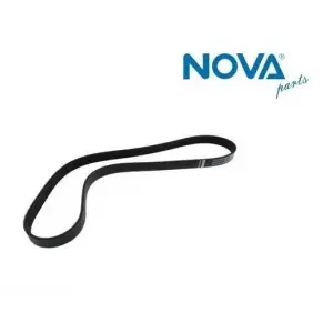 028903137AM ŞARJ KAYİŞİ ( 6PK923 ) - CADDY-INCA 1.9 E.M 1Y