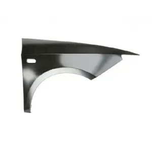 6J0821022A Çamurluk Ön Sağ Ibıza 2009-2017