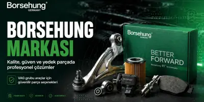 Borsehung
