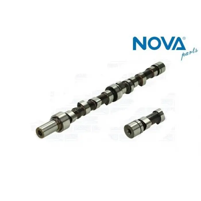 047109101R EKSANTRİ̇K Mİ̇Lİ̇ - FAVORİT-FELİCİA