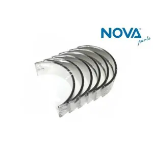 047105561D Ana Yatak ( 0.25 Takım ) Favorıt-Felıcıa